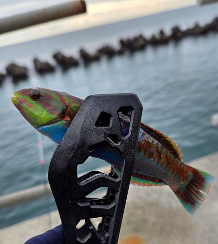 用宗広野海岸公園