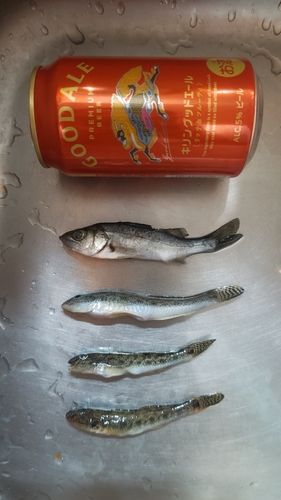 西浦