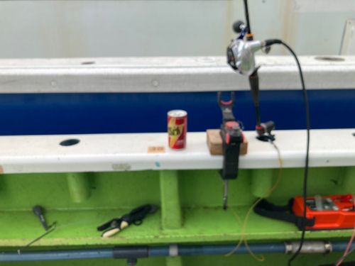 タチウオの釣果