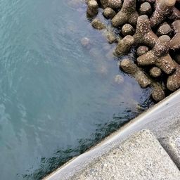 クロメバル