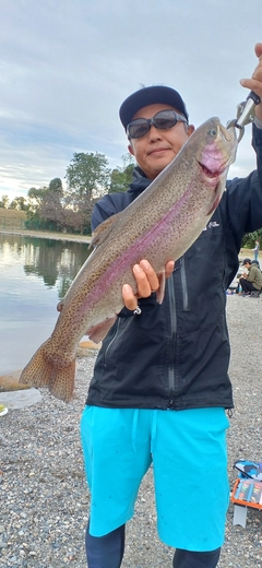 ニジマスの釣果