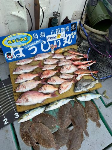 タイの釣果