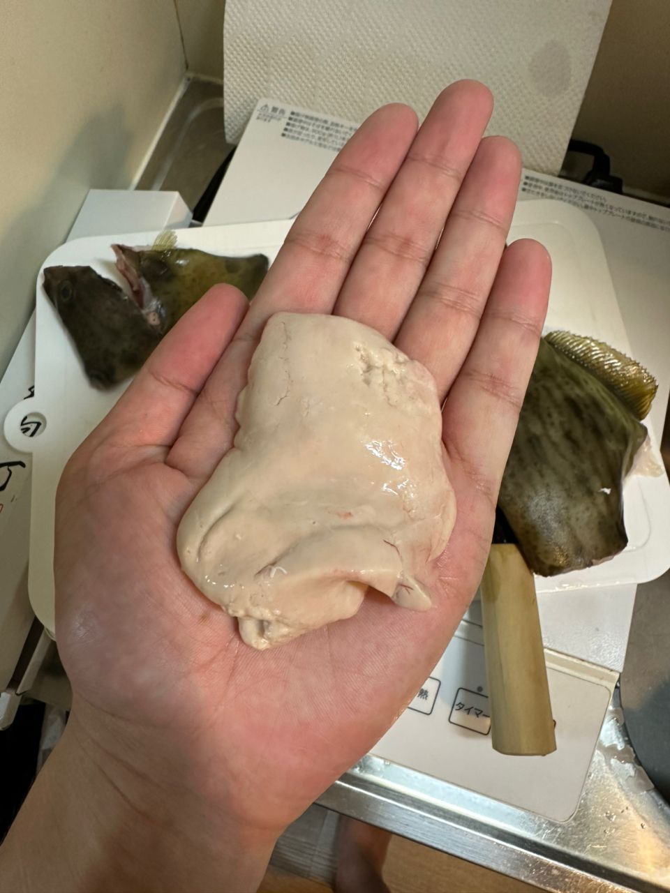 ｺﾀﾚさんの釣果 3枚目の画像