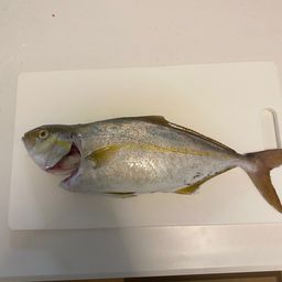 ネリゴ