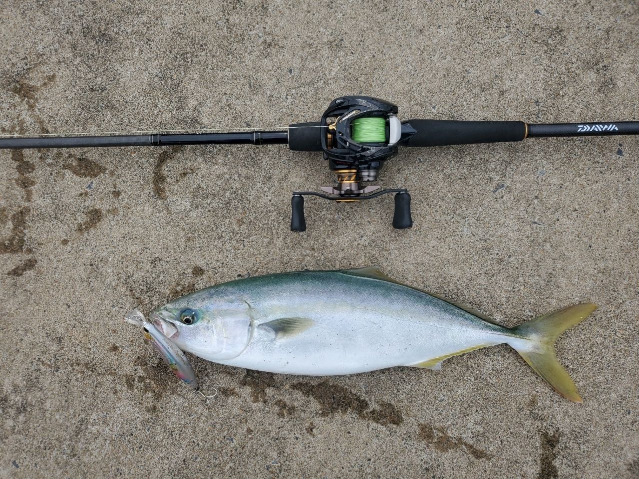 DAIWA 18モアザン PE TW 1000XHL-TWの最安値・インプレ・釣果 | 本音の