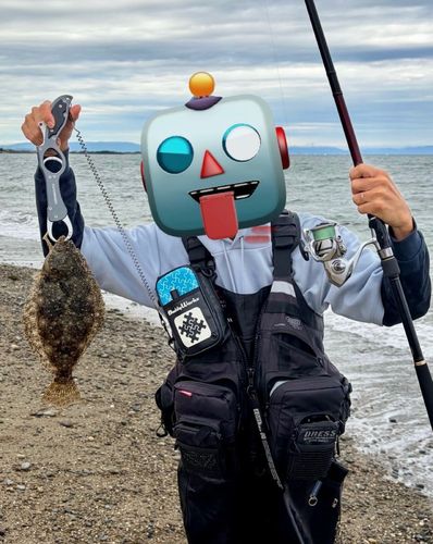 ソゲの釣果