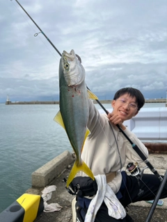 フクラギの釣果