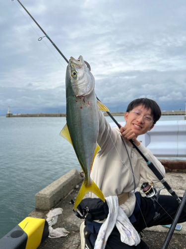 フクラギの釣果