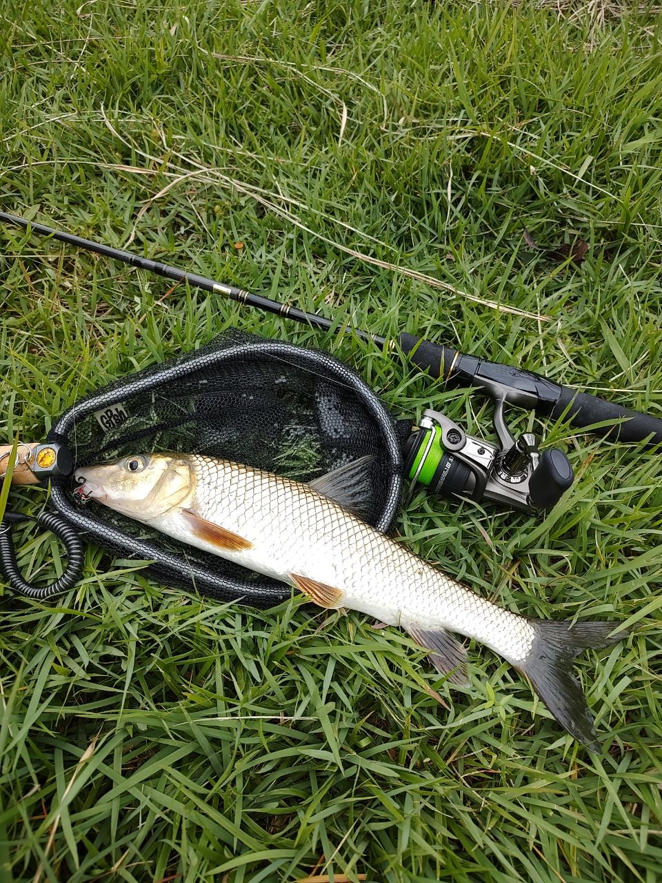 DAIWA 22ルアーニスト モバイル 68L-S-4の最安値・インプレ・釣果