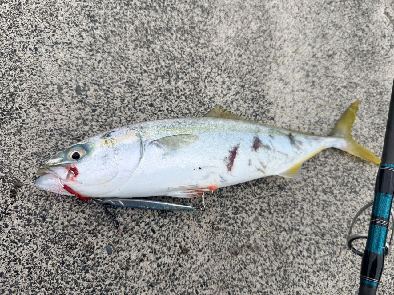 ショアジギング K Rー X Salty Stage KR-X ShoreJigging (ソルティーステージKR-X