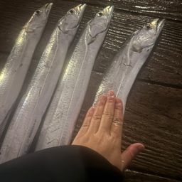 タチウオ