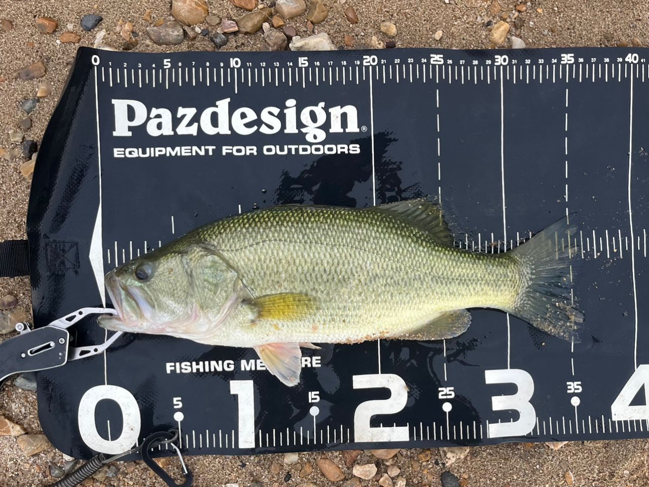 ⭐️美品⭐️ダイワ　リベリオン662ML 2ピース DAIWA 20リベリオン（センターカット2ピース スピニングモデル