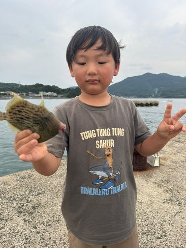 カワハギの釣果