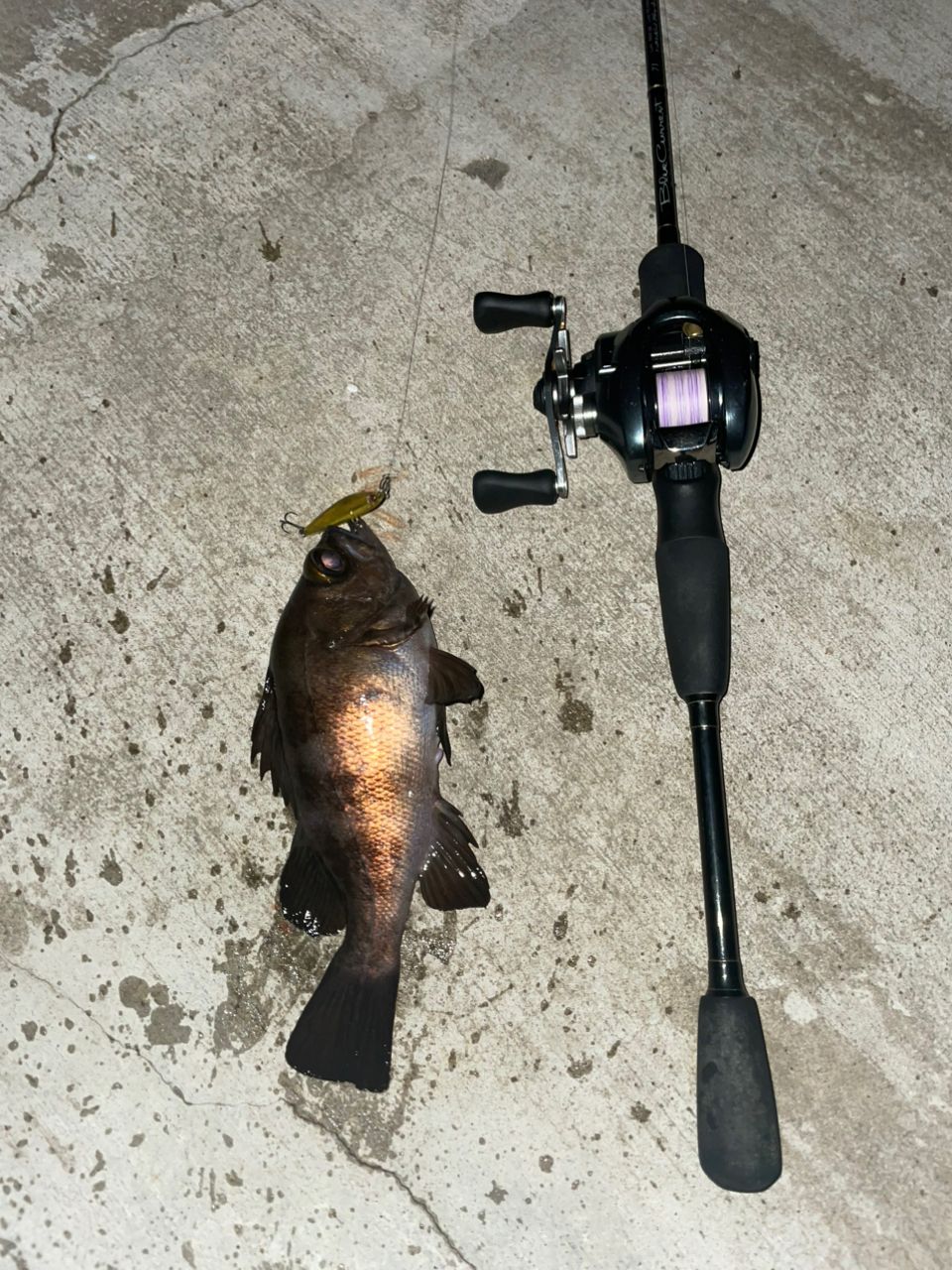 シマノ 22アルデバラン BFS XG LEFT シマノ 22 アルデバラン BFS XG LEFT / SHIMANO 22ALDEBARAN L