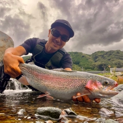 ニジマスの釣果
