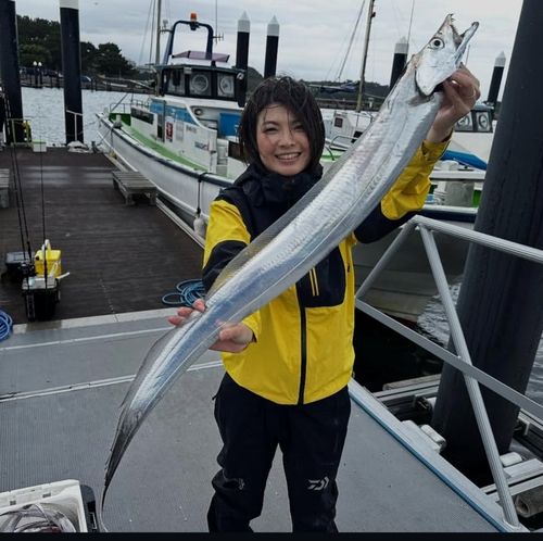 タチウオの釣果