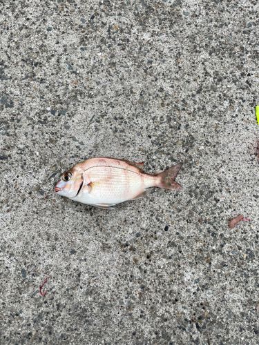小名浜港アクアマリンふくしま周辺