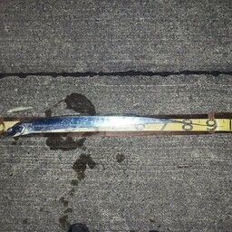 タチウオ