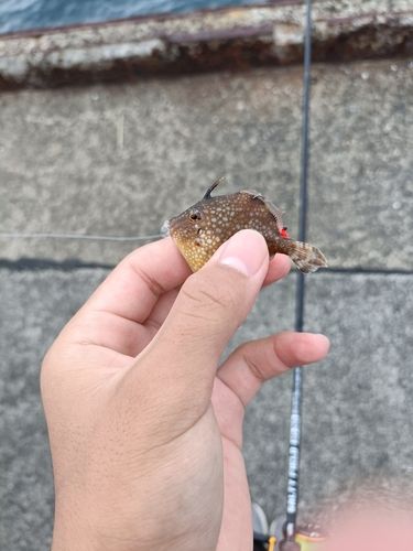 三津埠頭