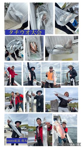 タチウオの釣果