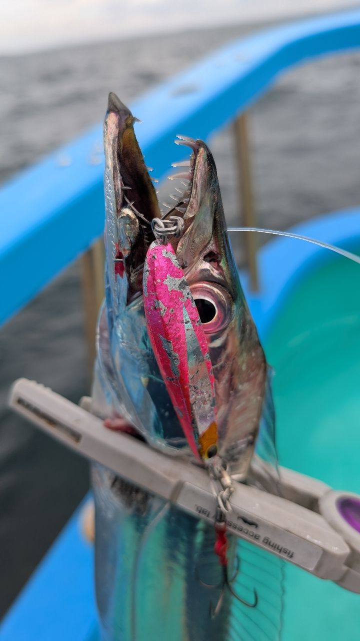 おざくんさんの釣果 2枚目の画像