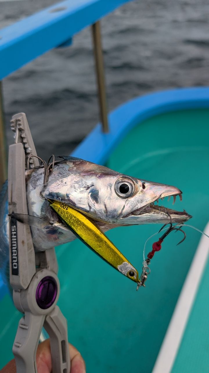 おざくんさんの釣果 3枚目の画像