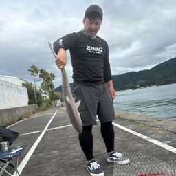 サメ
