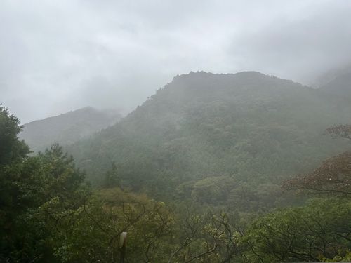 ハタンポの釣果
