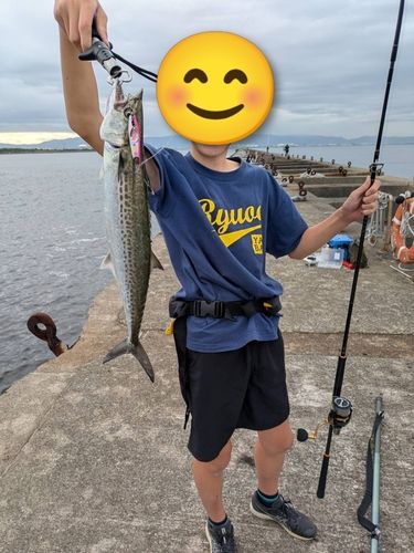 南港魚つり公園