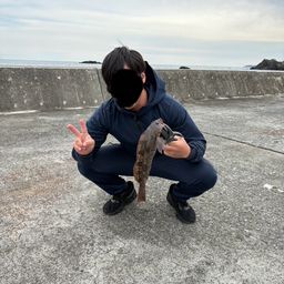 アイナメ