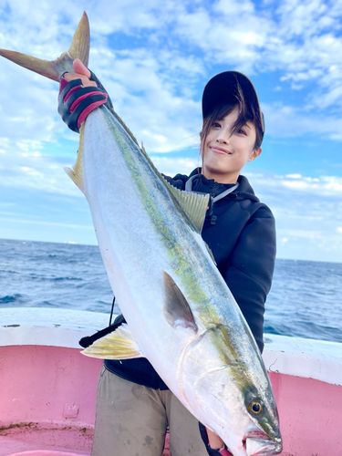 ワラサの釣果
