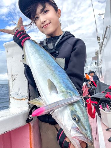 ワラサの釣果