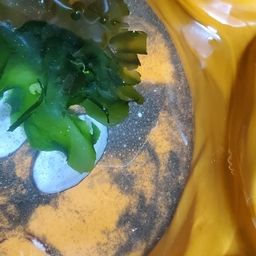 カレイ