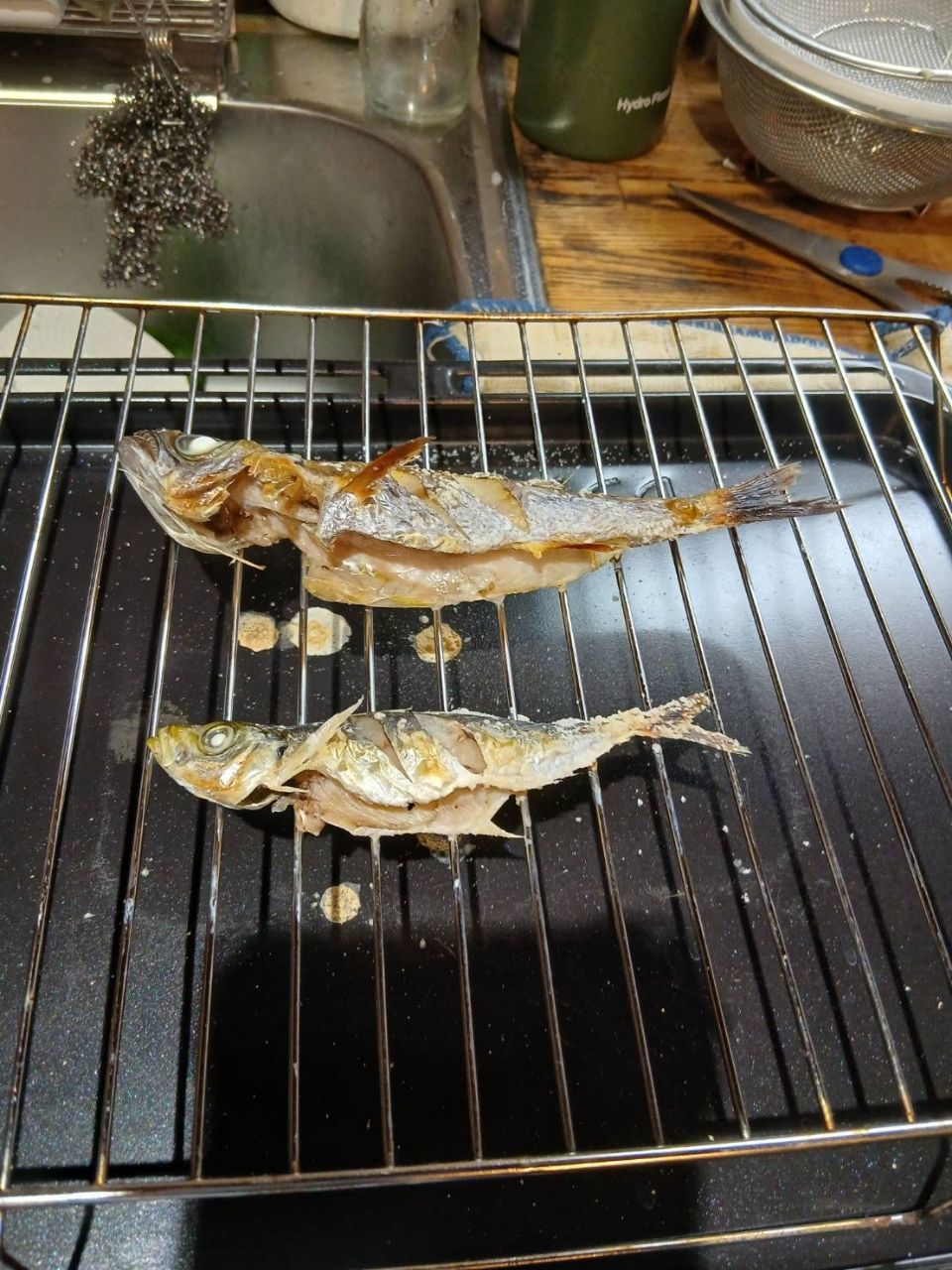 ムツ