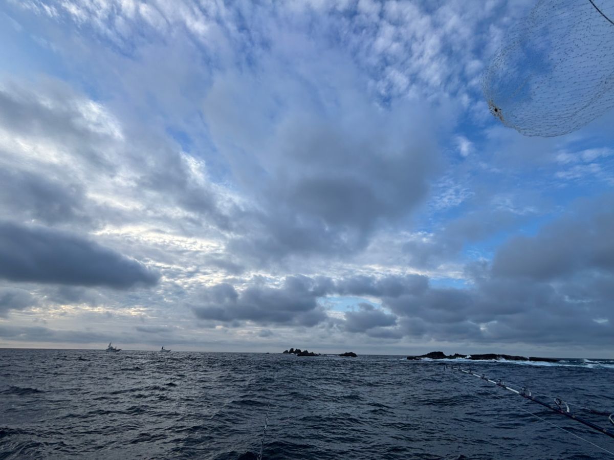 どかじゃさんの釣果 3枚目の画像