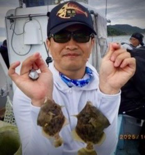 カワハギの釣果