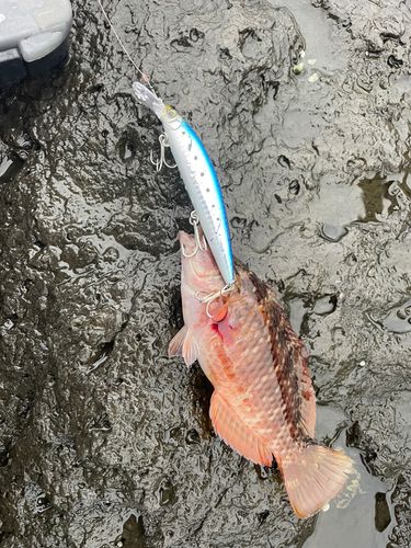 波戸岬