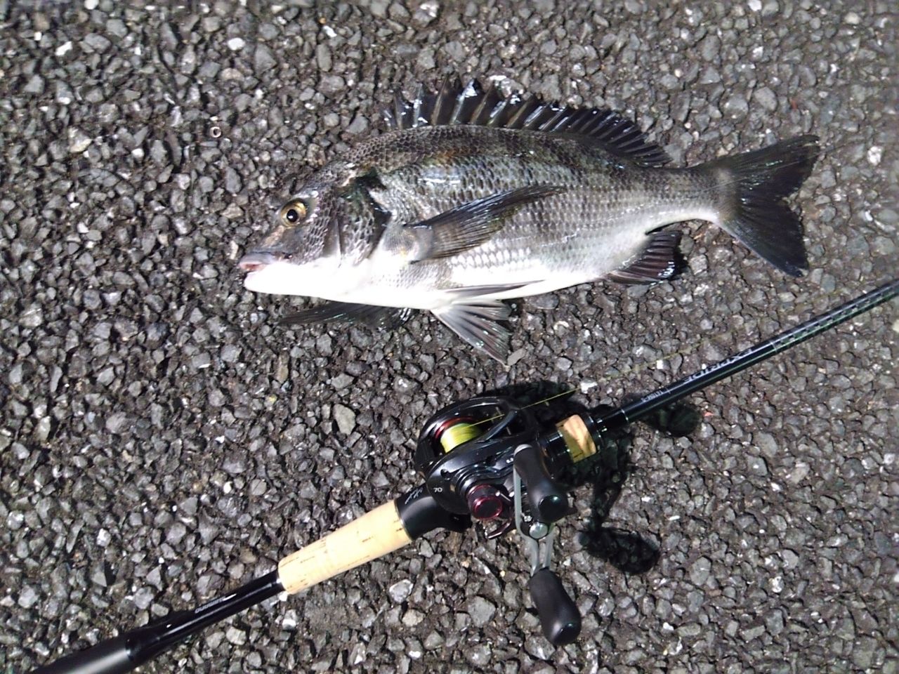 SHIMANO 22エクスプライド 1610M-Sの最安値・インプレ・釣果 | 本音の