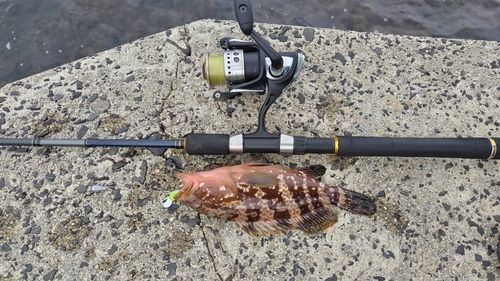 能登島長浦