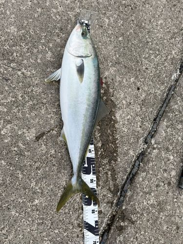 野辺地湾