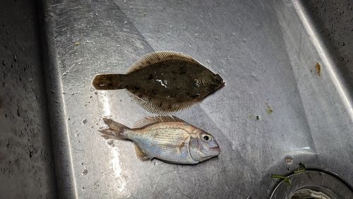 知多湾