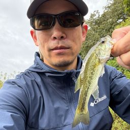 ブラックバス
