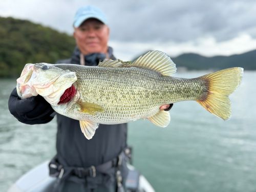 琵琶湖北湖