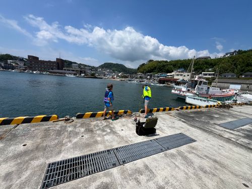 アカササノハベラ