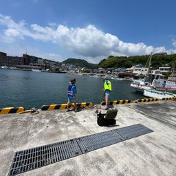 アカササノハベラ