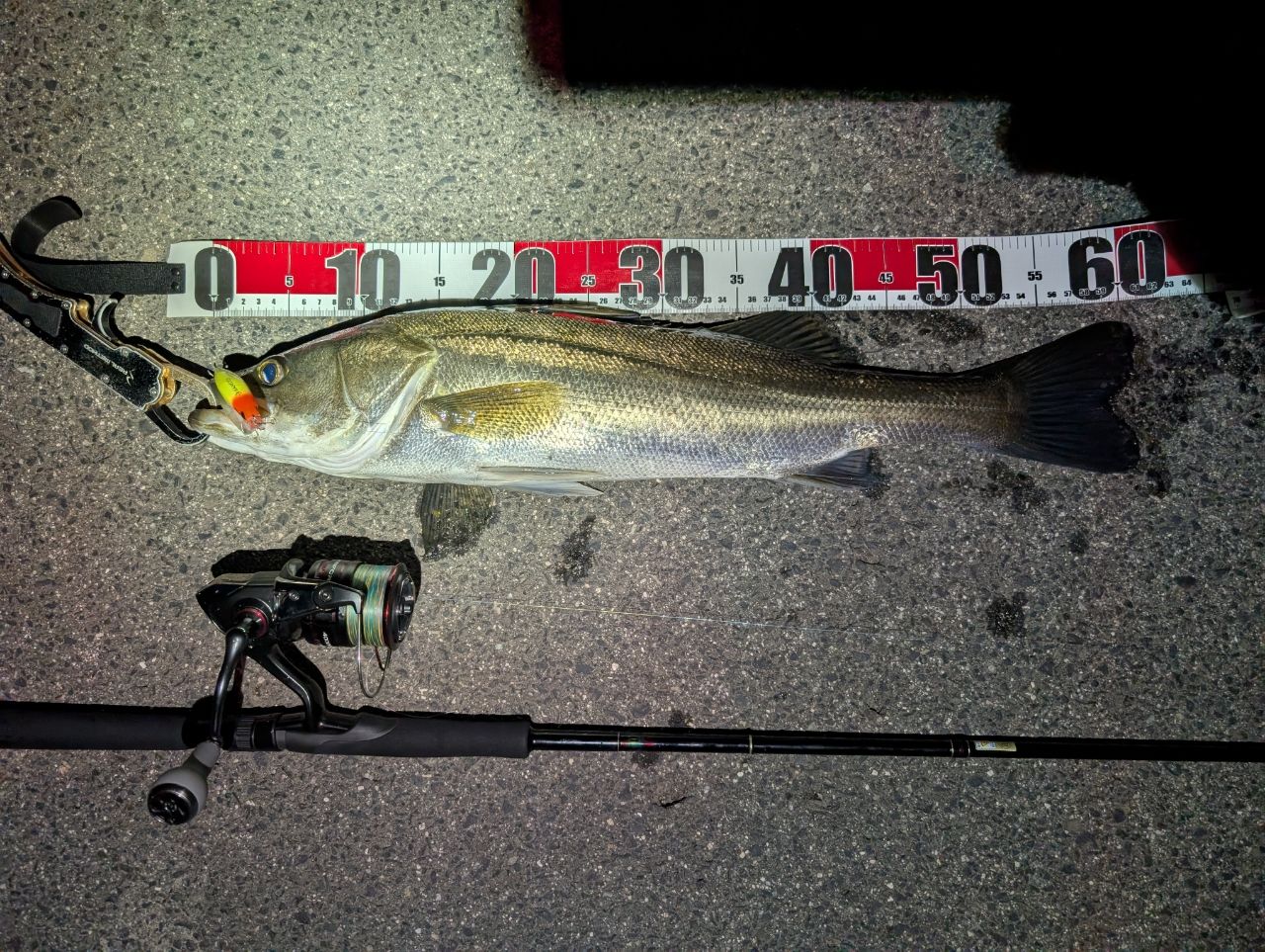 YAMAGA Blanks アーリー プラス 92XMLの最安値・インプレ・釣果 | 本音