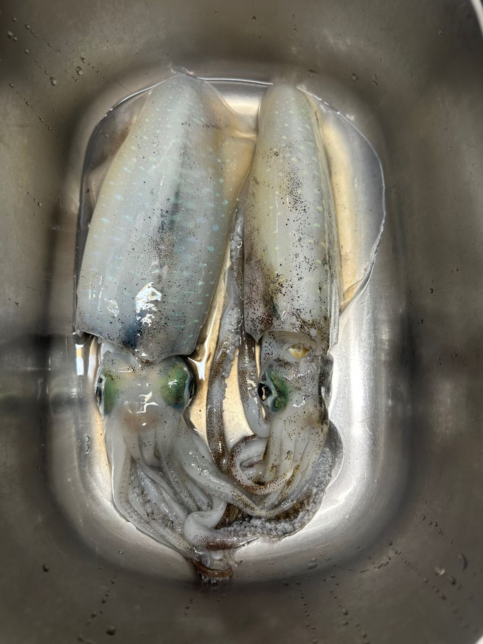 UOKINさんの釣果 1枚目の画像