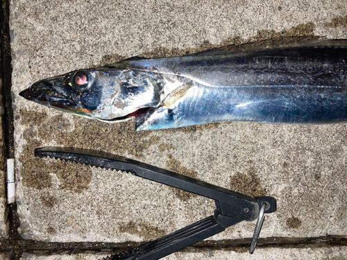 釣果