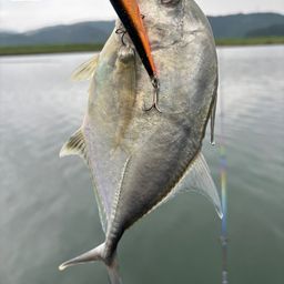 メッキ
