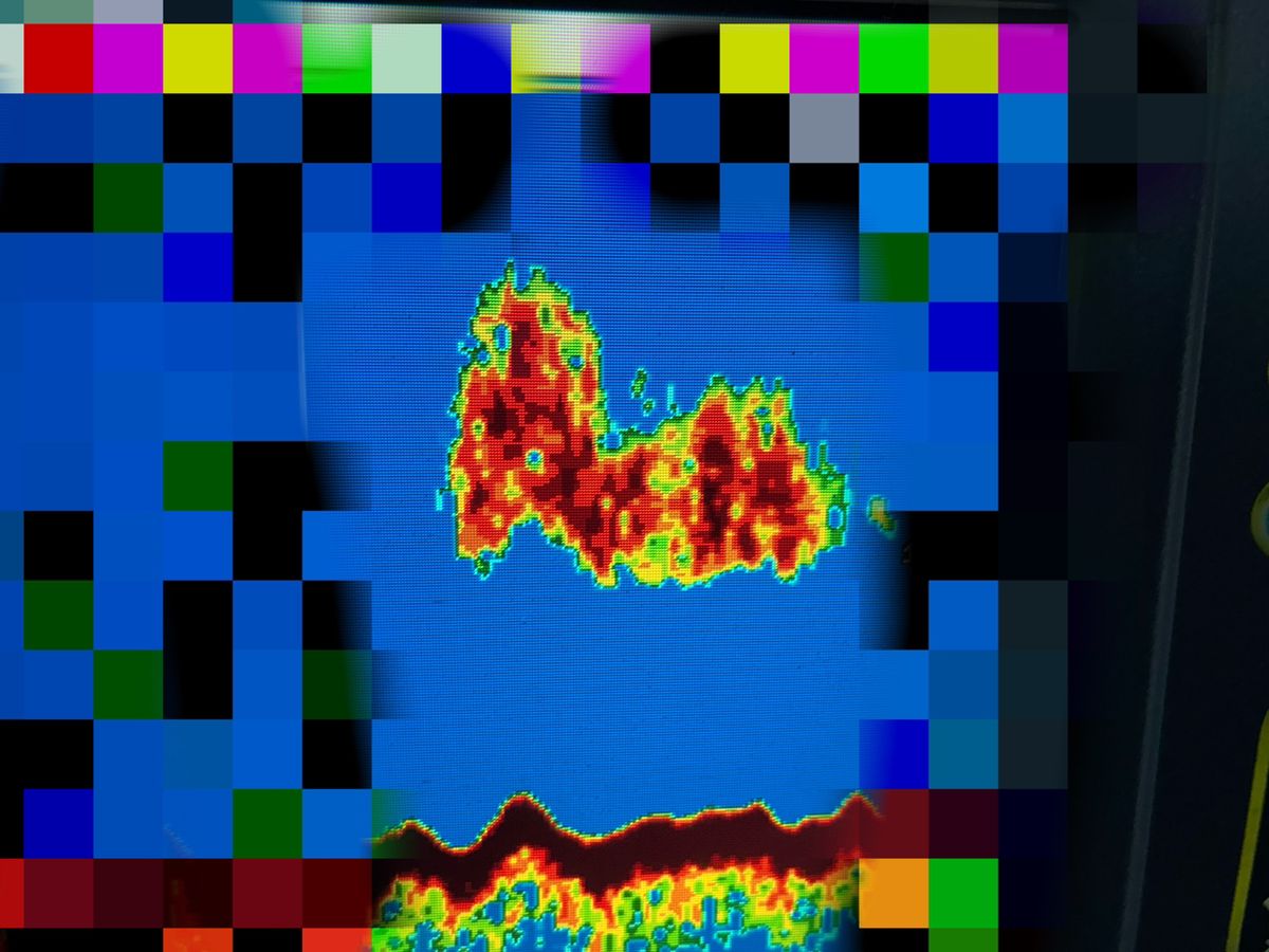 沖縄釣り体験よし丸さんの釣果 2枚目の画像